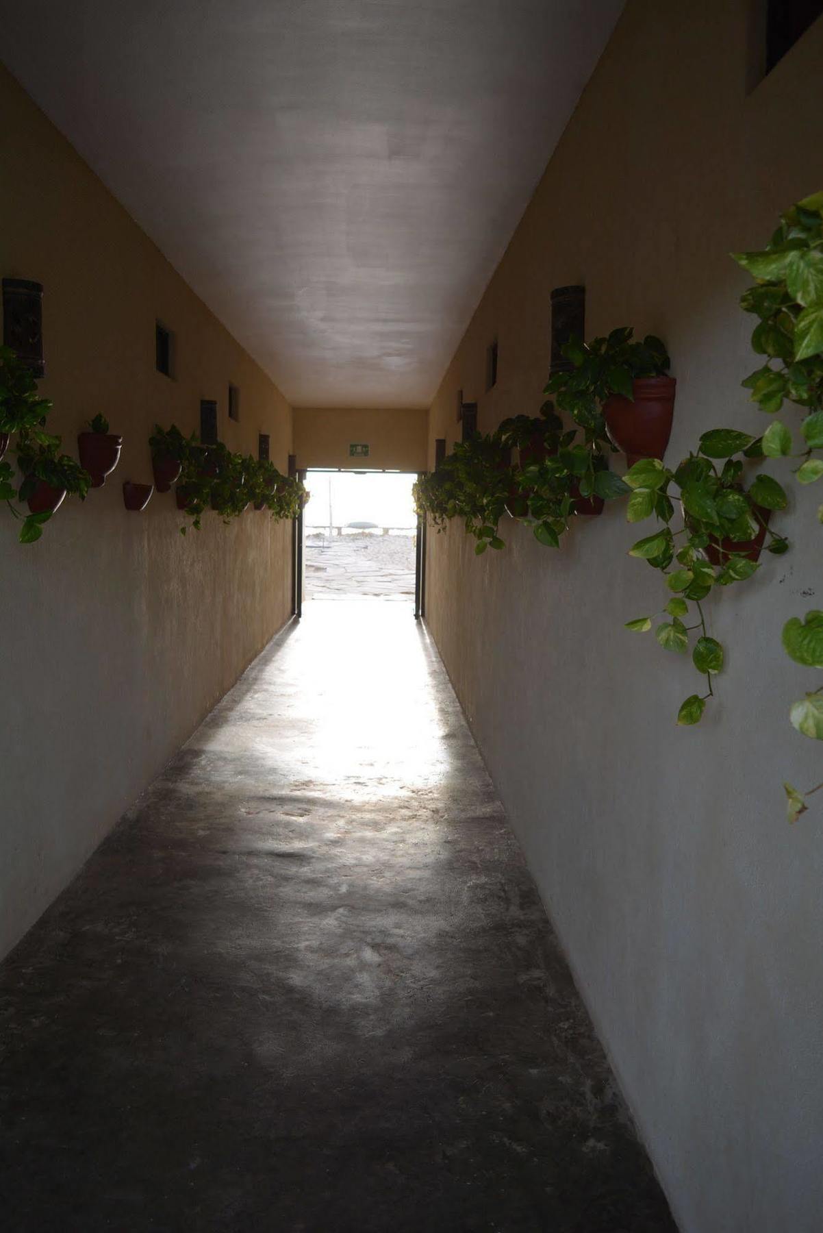 Tortugas Cerritos Beachfront Hotel El Pescadero  Exterior foto